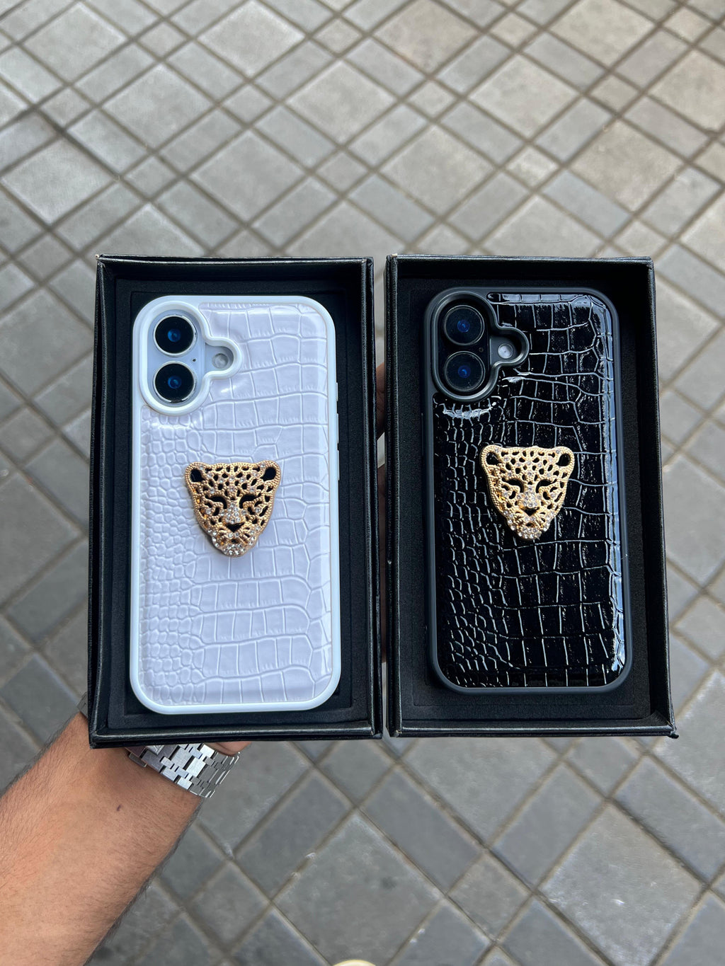 Vulgari case